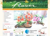 thiet ke web site gia re