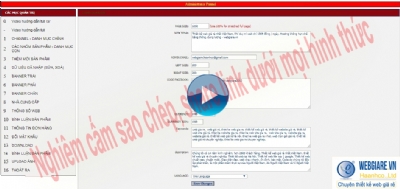 9. Thông số web: hướng dẫn chỉnh sửa thông số website