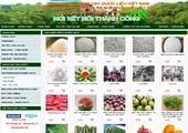 Thiết kế website DUOCLIEUVIETNAMVP.COM