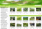 Thiết kế website giá rẻ: TRANGTRAIVN.COM